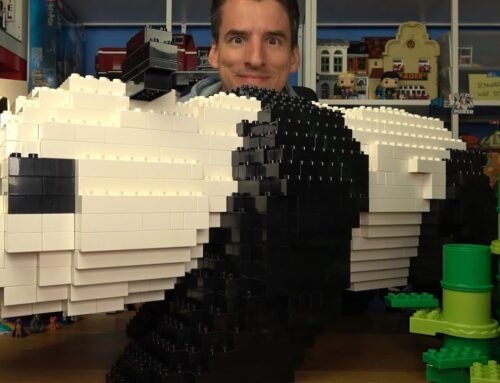 Der 1000 Teile Monster-Panda! Wange® Duplo-Alternative